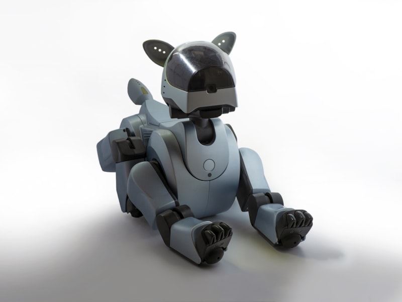 Xentium EduBot Mini